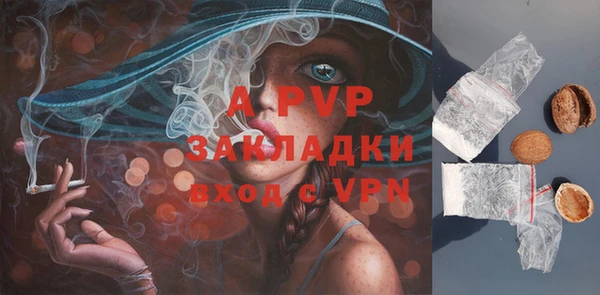 соль курить ск Ладушкин